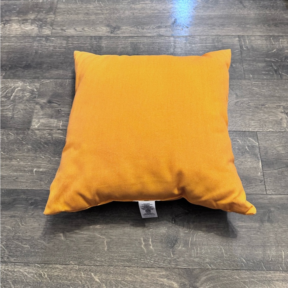 JC‎ Penney Outdoor Oasis Throw Pillow